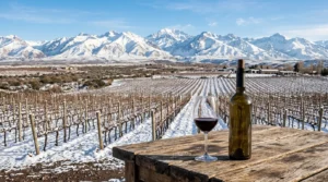 Descubra o que fazer em Mendoza no inverno com vinhedos nevados e a Cordilheira dos Andes.